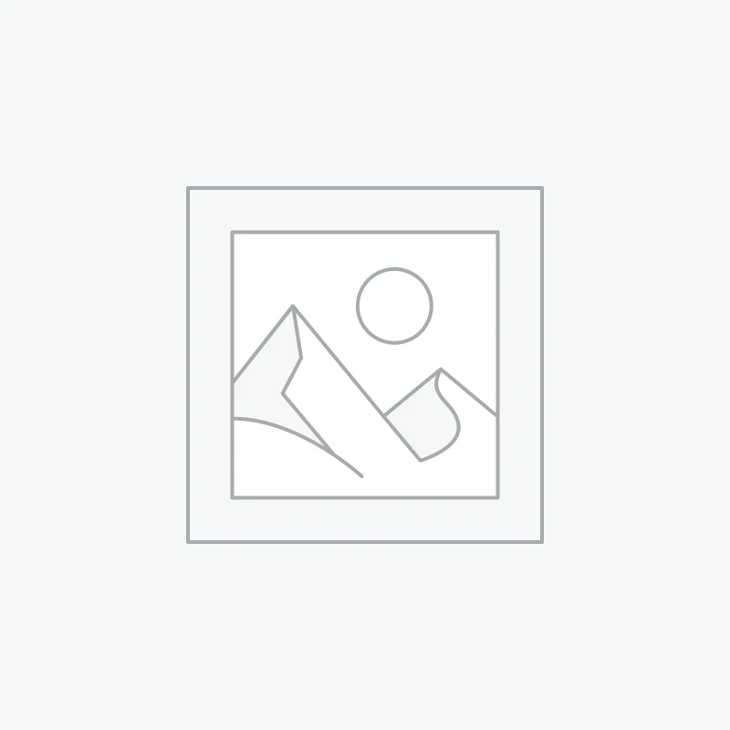 New Pet Spray Comb for Cats and Dogs Pet Electric Spray Hair Removal Comb One Key Spray Anti-Flying Massage Brush, Clean Massage