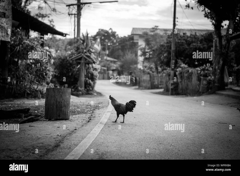 Chicken road 2 juego, chicken road 2 españa
